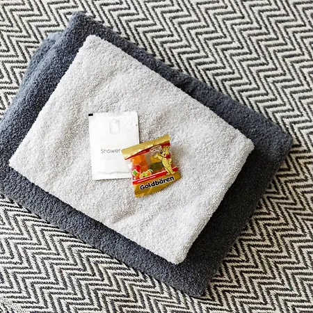 Vaz E01 Kueche, Tv, Netflix, Ca 15 Min Messe U Hbf Apartamento *