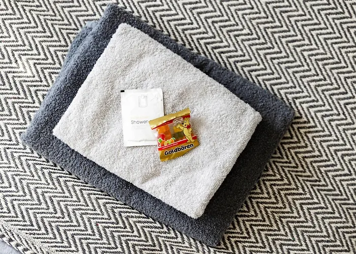 Vaz E01 Kueche, Tv, Netflix, Ca 15 Min Messe U Hbf Apartment *